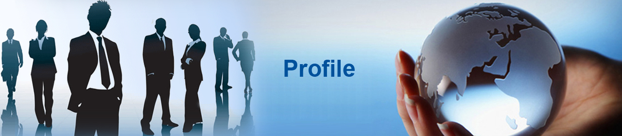 Company Profile